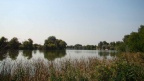 Őszi verseny 2009.09.27. (42)