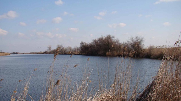 Szemétgyűjtés 2009.03.14 (21)