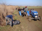 Szemétgyűjtés 2009.03.14 (82)