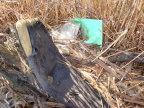 Szemétgyűjtés 2009.03.14 (86)